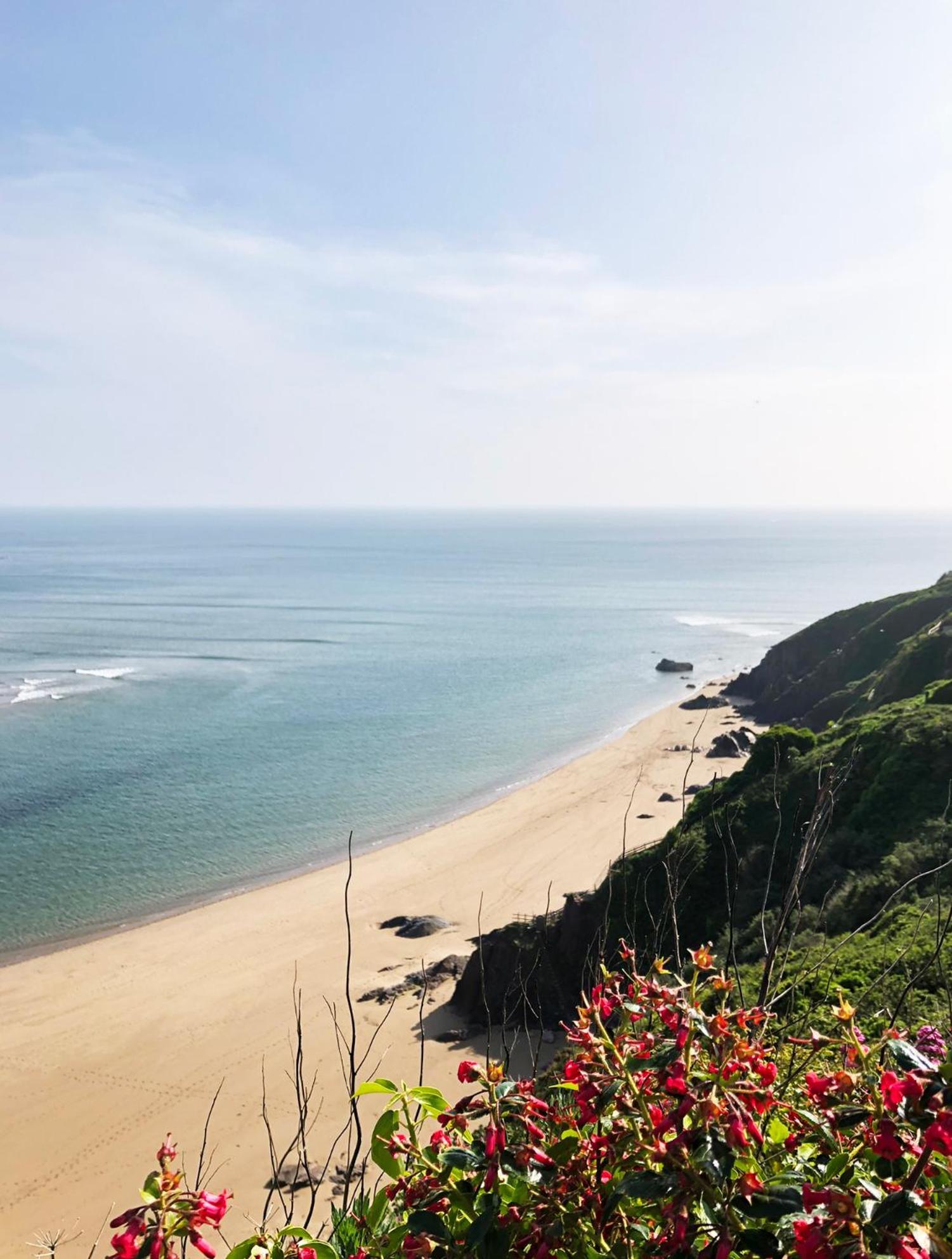 Cosy Beachside Cottage Bigbury Luaran gambar